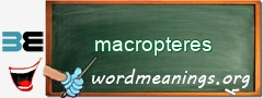 WordMeaning blackboard for macropteres